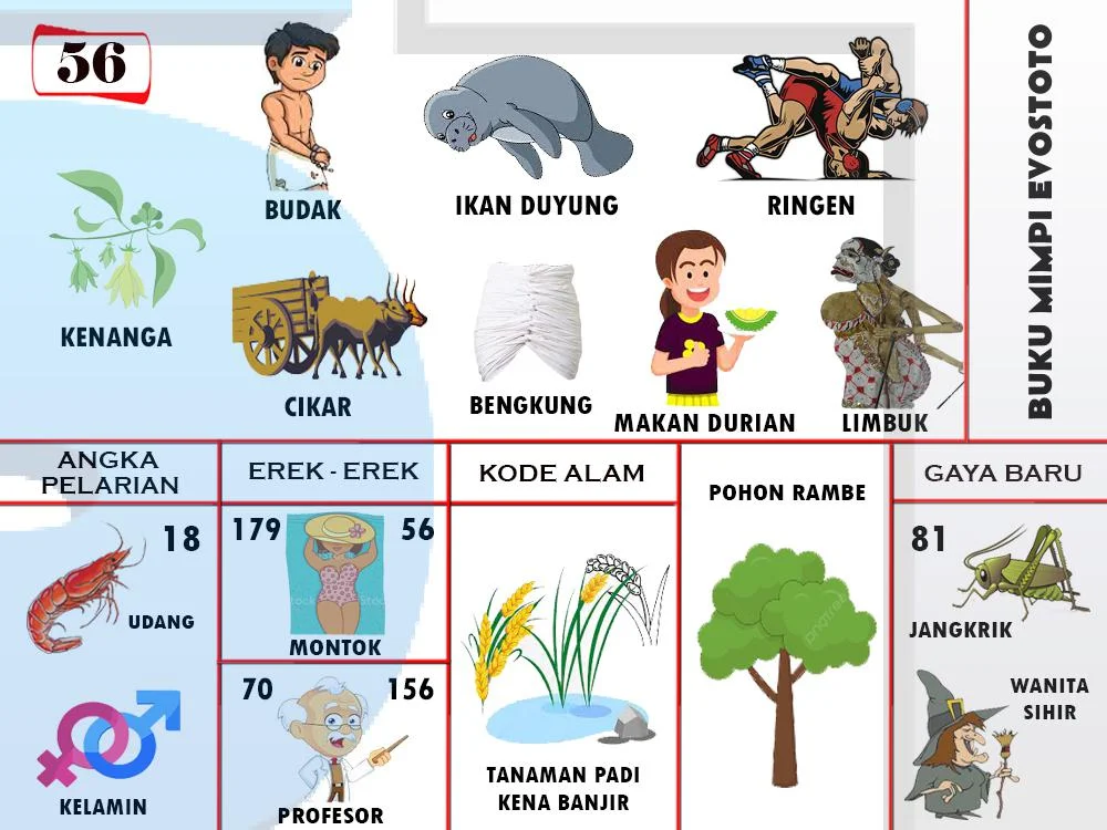 buku mimpi erek erek togel 56